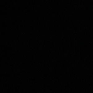 Meet your Posher, Dalia